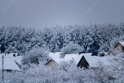 houses in the forest in winter