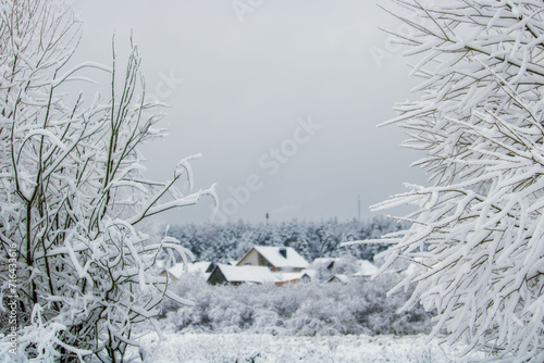 houses in the forest in winter