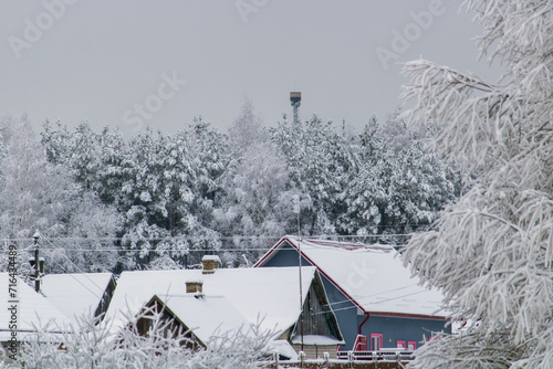 houses in the forest in winter