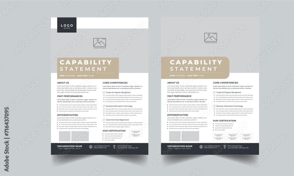 Capability Statement With 2 Style layout template design
