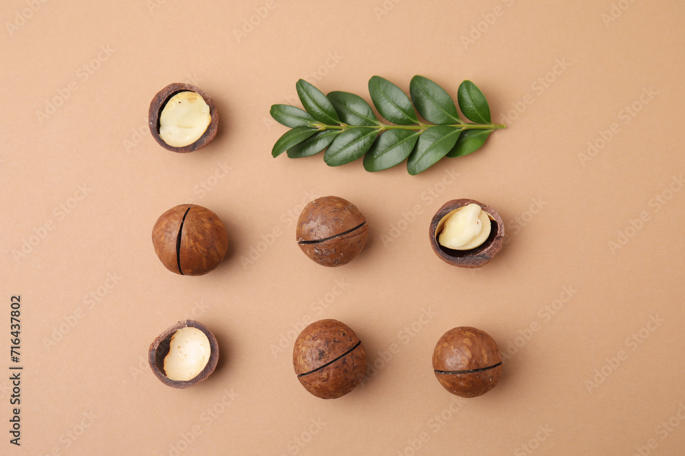 Tasty Macadamia nuts and green twig on beige background, flat lay