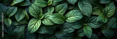  Dark Layout Made Green Leaves Flat  Banner Image For Website  Background  Desktop Wallpaper