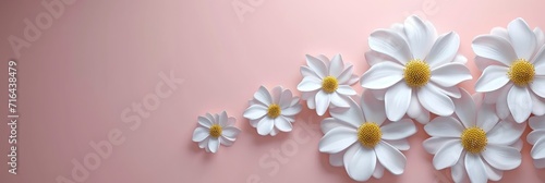  Delicate Flower Banner On Pink Background, Banner Image For Website, Background, Desktop Wallpaper © Pic Hub