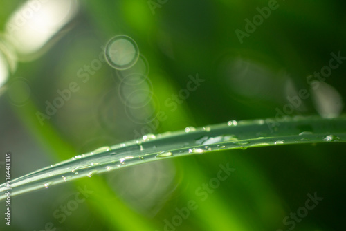 Fotografia Full frame shot of water on metal, Close-up of bubbles on railing against landscape,Rear view of man standing by grass against mountains