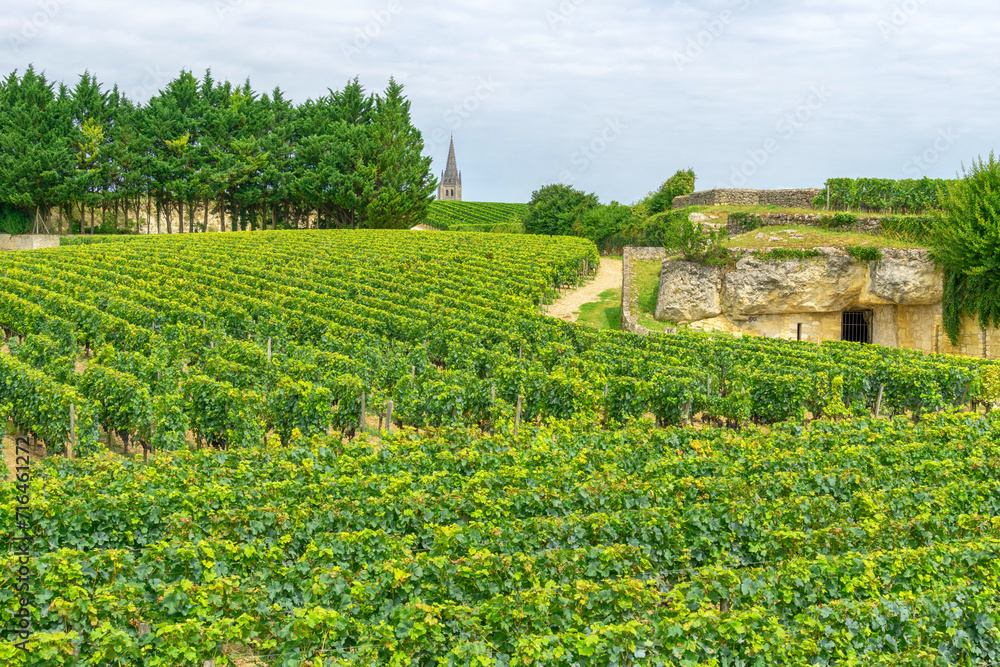 Vineyards and of wine cellars, France