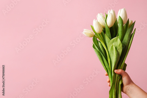 bouquet of white tulips in children's hand on a pink background, copy space, greeting card © Nastya