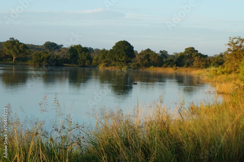 Kruger National Park, South Africa, Africa 