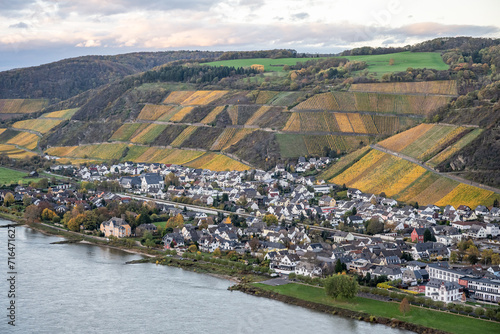 Autumn Vibes Wineyards Germany water of Rhine river in andernach near koblenz water transport freight ships Fall Colors
