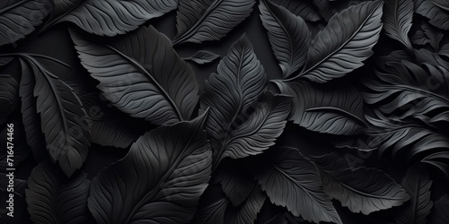 Close Up View of Black Leaves, Detailed and Striking Macro Photograph