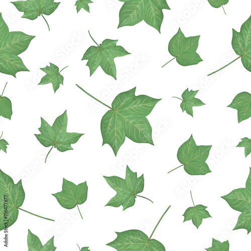 Hand drawn delicate floral vector seamless pattern. Cotton plant leaves on transparent background. Decorative vintage style illustration for printing on different surfaces. © EF Studio
