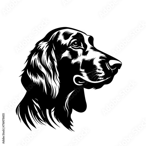 Cute Dog- Irish Setter
