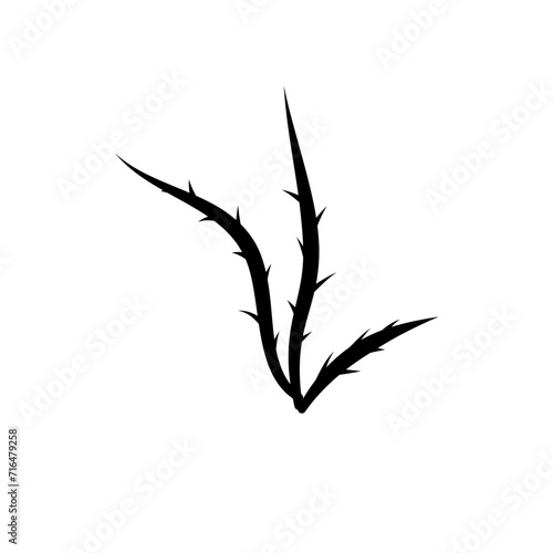 Thorn Silhouette