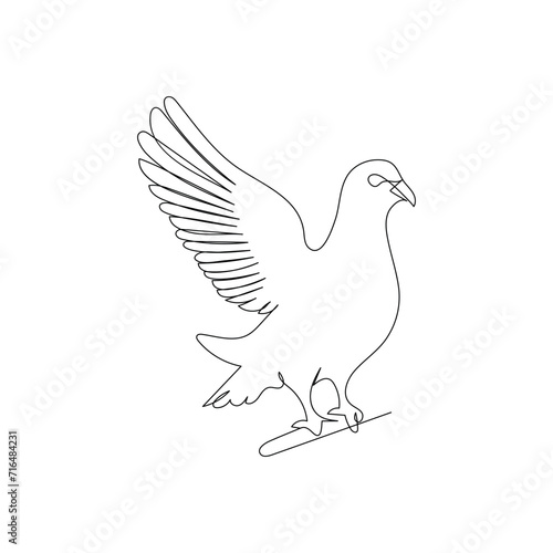 Pigeon continuous one line drawing outline vector illustration
