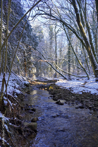 Winterlicher Bachlauf am Frohnwaldweg bei Riegelsberg im Saarland, Deutschland 