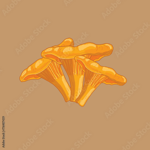 mushroom illustration