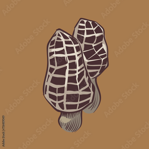 mushroom illustration