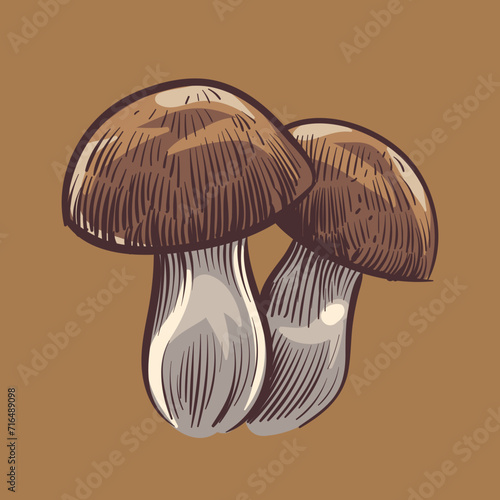 mushroom illustration