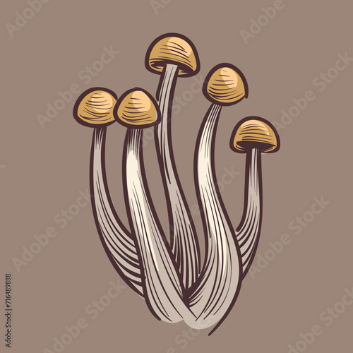 mushroom illustration