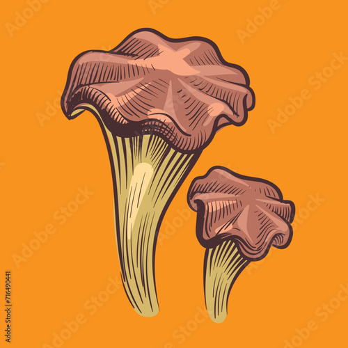 mushroom illustration