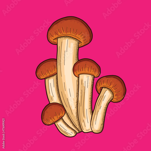 mushroom illustration