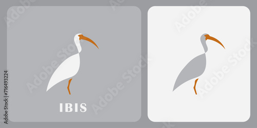 ibis bird logo design vector  with minimalistic design