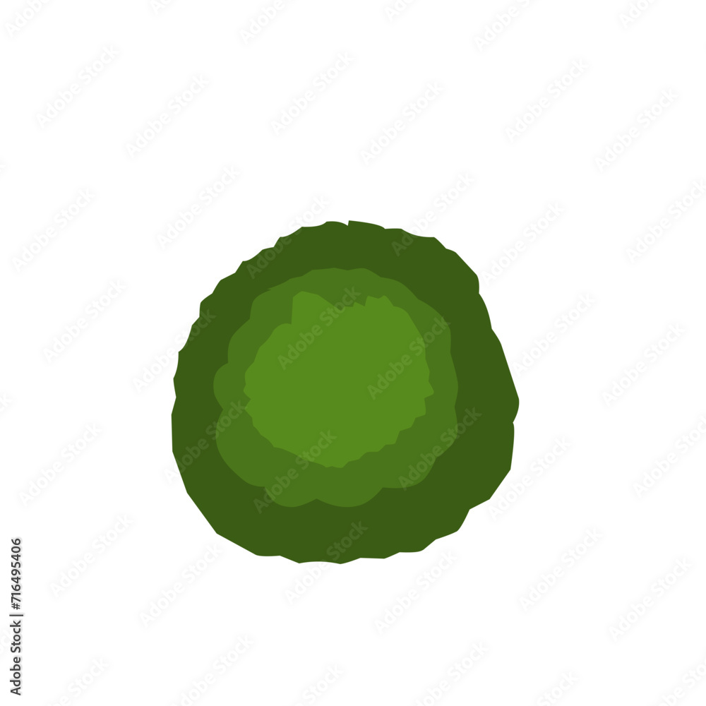 Green Trees Top View Green Trees Top View