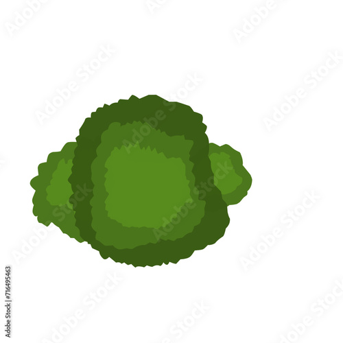 Green Trees Top View 