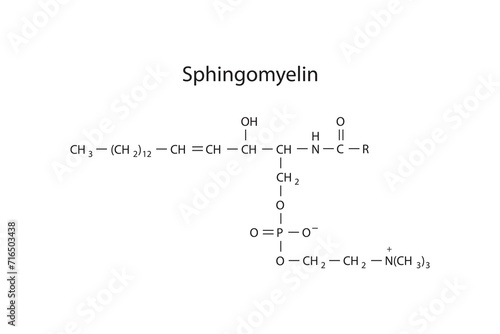 Schematic molecular structure of sphingomyelin molecule. Blue Scientific vector illustration. photo