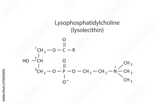 Molecular structure of Lysophosphatidylcholine (lysolecithin) Blue Scientific vector illustration.