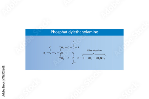 Molecular schematic structure of Phosphatidylserine. Blue Scientific vector illustration.