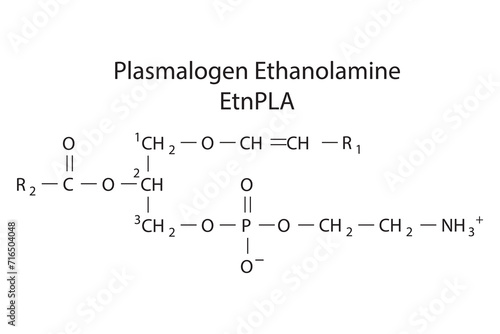 Molecular structure of LPlasmalogen Ethanolamine - EtnPLA Blue Scientific vector illustration.