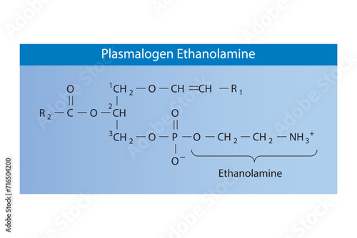 Molecular structure of LPlasmalogen Ethanolamine - EtnPLA Pink Scientific vector illustration.