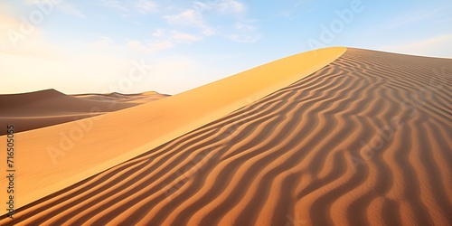 Sweeping sand dunes in the desert during summer   Sweeping sand dunes  desert  summer