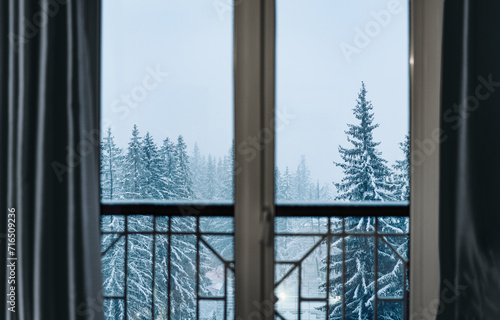 window view of forest in the winter