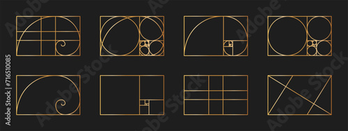Set of golden ratio templates. Logarithmic spiral in rectangle frame divided on lines, squares and circles. Fibonacci sequence grids. Ideal nature symmetry proportions layouts. Vector illustration photo