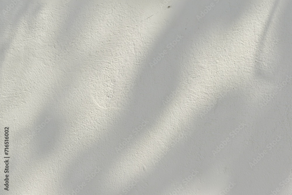 Sunlight shadows, natural branches on concrete cement wall background surface.