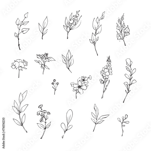 Vector illustration of flowers and leaves in doodle handdraw style photo
