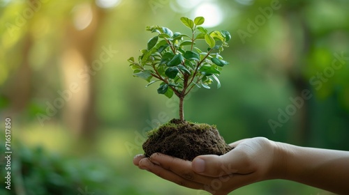 save the world, ecology plant trees and recycle 