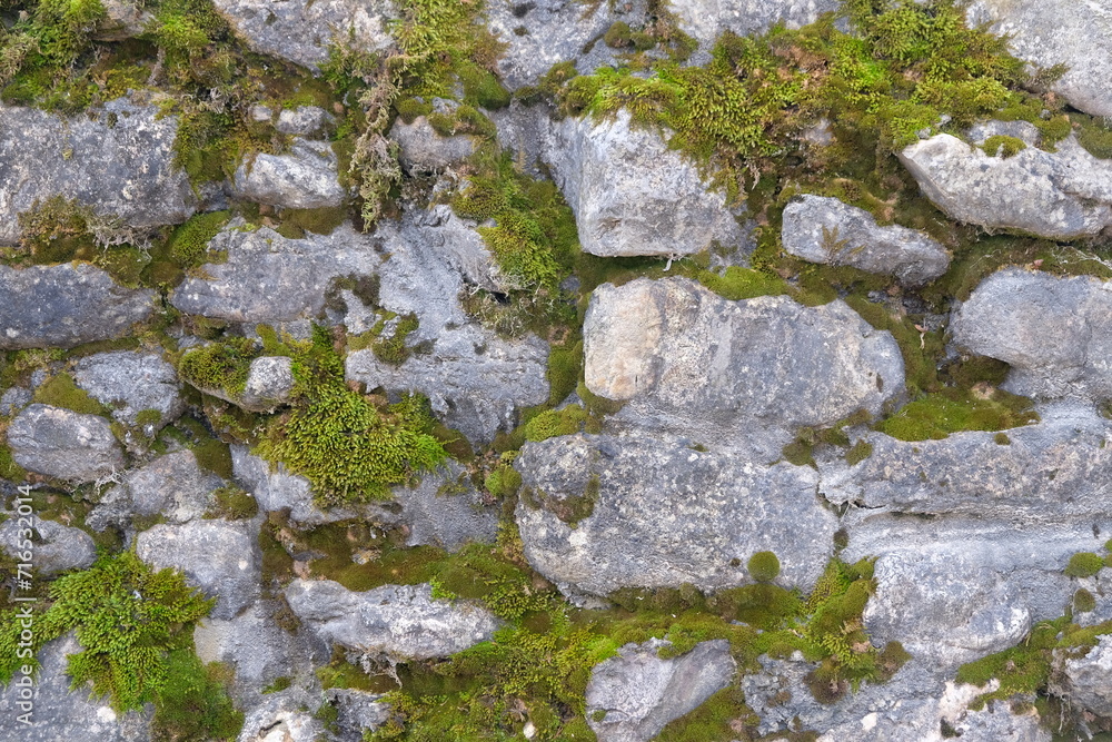 old stone wall texture with lichen and moss, abstract natural background close up. mossy stone surface full frame macro shot. template for design old stone wall texture with lichen and moss, abstract natural background close up. mossy stone surface full frame macro shot. template for design