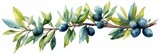 Watercolor illustration of fresh, organic fruit on a tree branch, capturing the essence of summer.