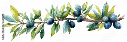 Watercolor illustration of fresh, organic fruit on a tree branch, capturing the essence of summer. photo