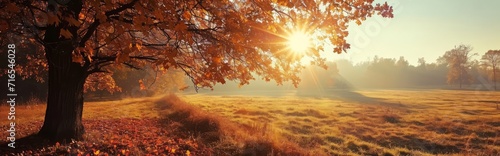 Golden Autumn Sunset Amidst Beautiful Trees Wallpaper and Design, Generative AI
