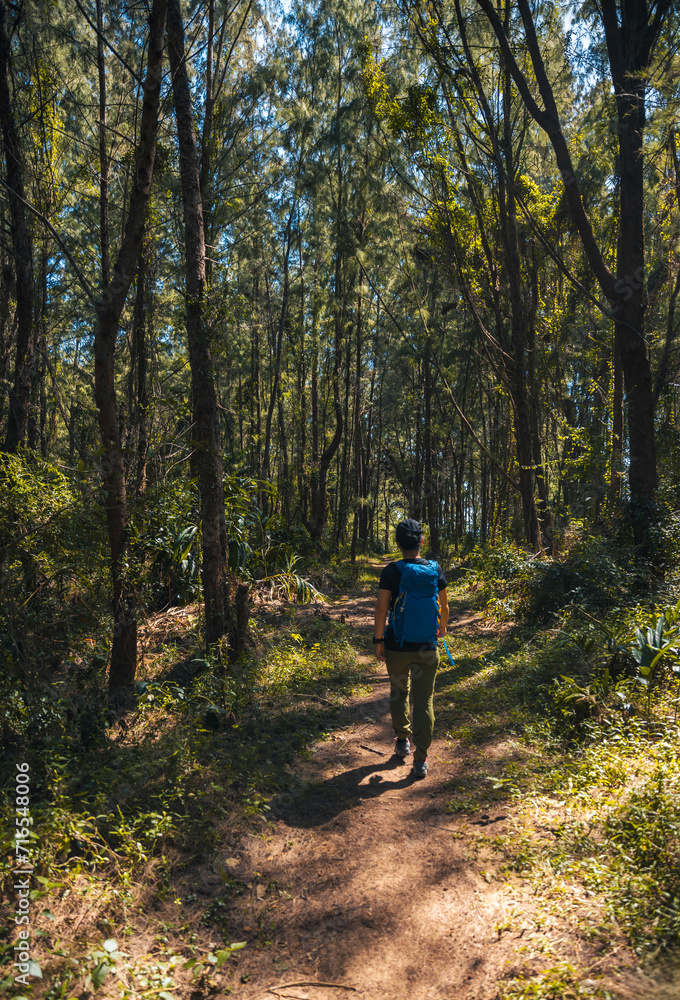 Hiking in tropical forest mountain