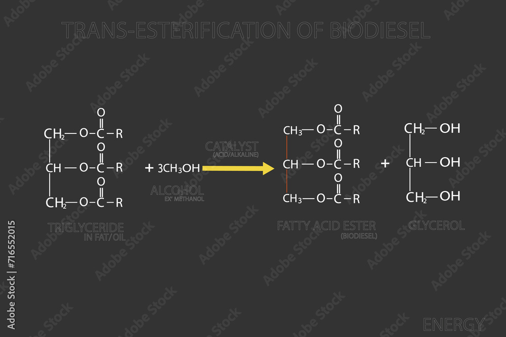 Fototapeta premium Trans-esterification of biodiesel molecular skeletal chemical formula