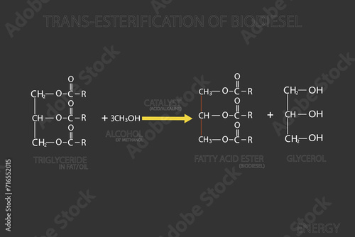Trans-esterification of biodiesel molecular skeletal chemical formula	