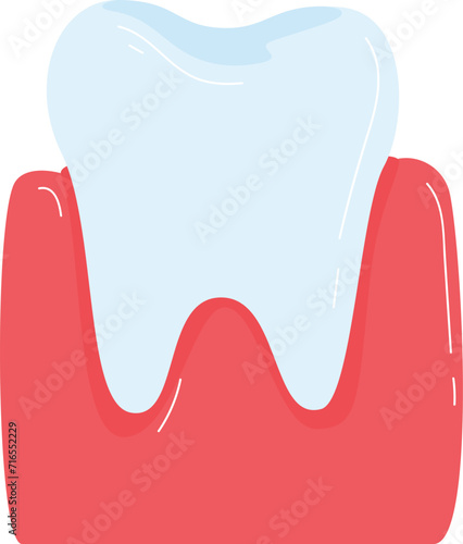 Flat style close-up of a healthy human tooth with gum. Cartoon molar and dental care vector illustration.