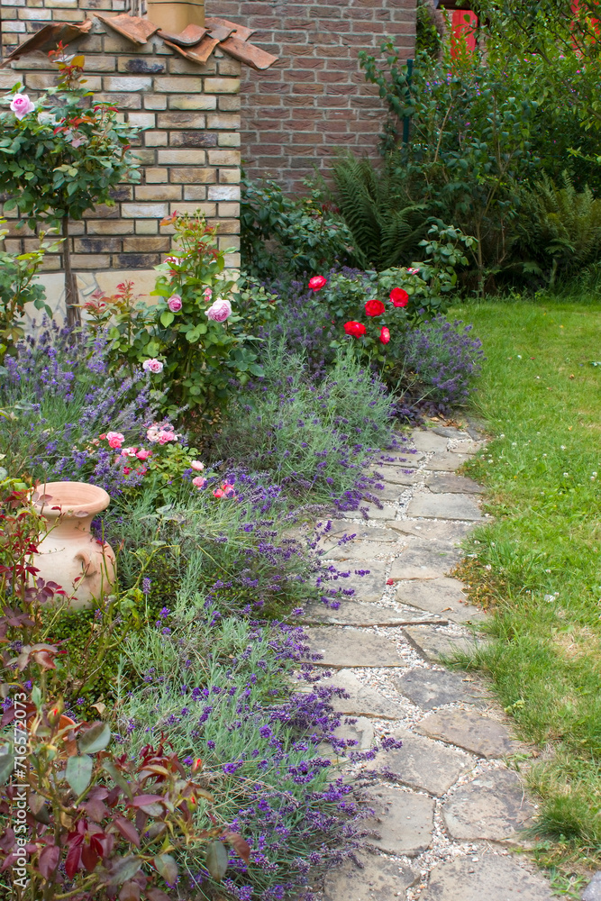 stone paved garden path and flowers - roses and lavender
