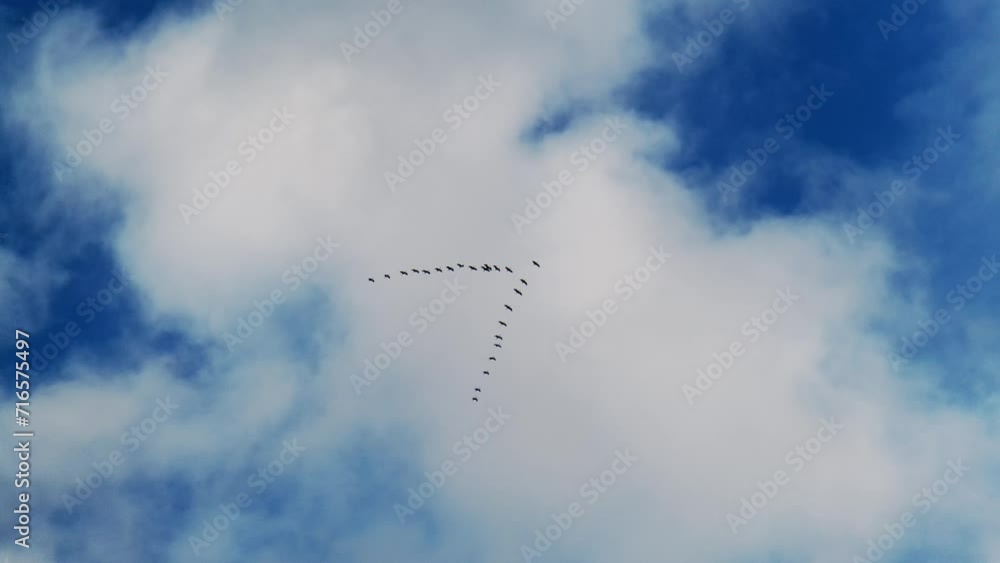 Cloudy sky at sunrise. Flock flying cranes. Sky background with birds. Cloudy sky at sunrise. Flock flying cranes. Sky background with birds.