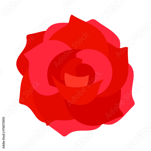 薔薇の花のイラスト。フラットなベクターイラスト。