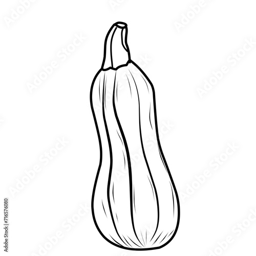Hand Drawn Zuuchini Vegetable 